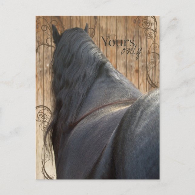 Yours Only - Postcard (Front)