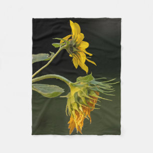Youth and Age Sunflower Fleece Blanket