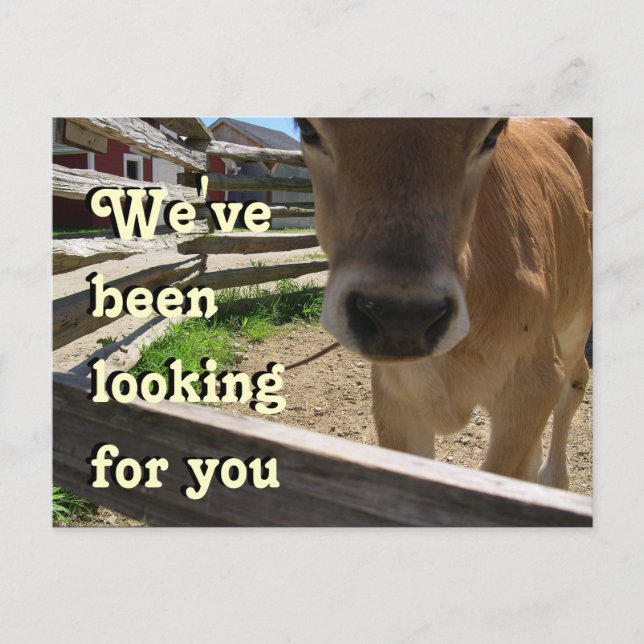 Youth Group Invitation Postcard (Front)