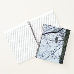 Youth on the Edge Notebook