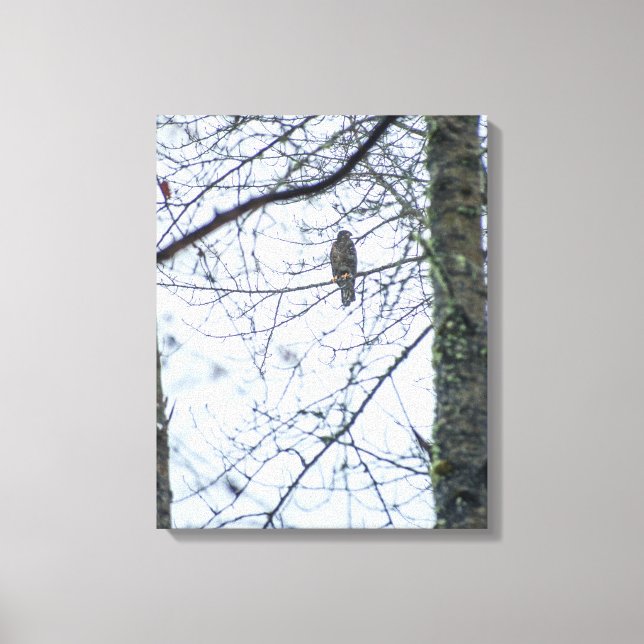 Youth on the Edge Stretched Canvas Print (Front)