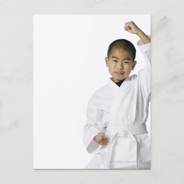 youth practicing martial arts 3 postcard (Front)