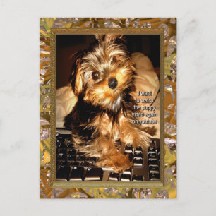 YouTube Yorkie Postcard