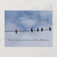 You've Always Been A Little Different Postcard
