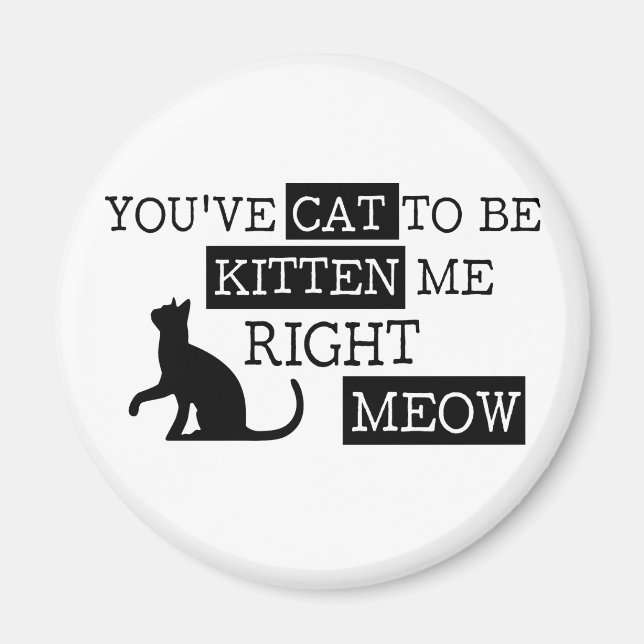 You've cat to be kitten meow funny magnet (Front)