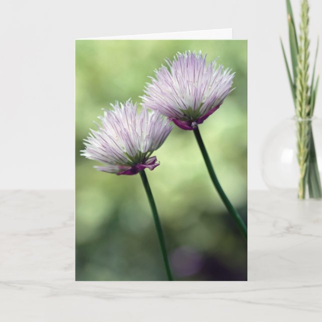 You've got a friend in me... card (Front)