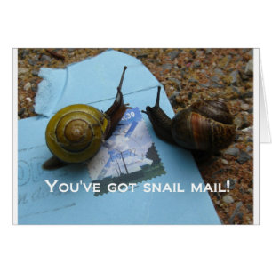 You've got snail mail