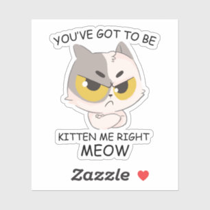 You've Got To Be Kitten Me Right Meow