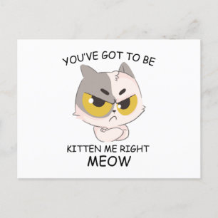 You've Got To Be Kitten Me Right Meow Postcard