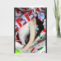 You've Reached The Tail End Of Another Year