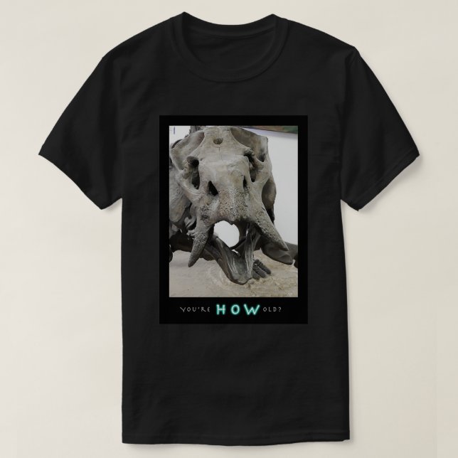 Youx27re HOW Old T-Shirt (Design Front)