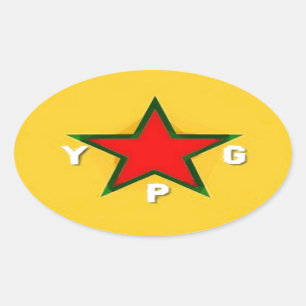 ypg logo 4 oval sticker