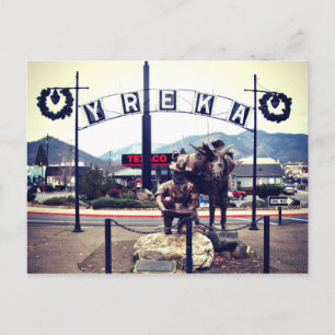 Yreka Miner Statue Postcard