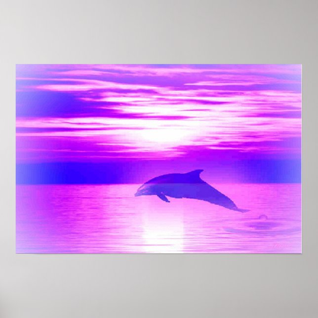 Ysundolphin Poster (Front)