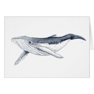 Yubarta drinks whale