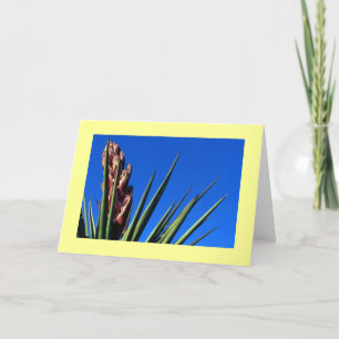 "Yucca #1" Card