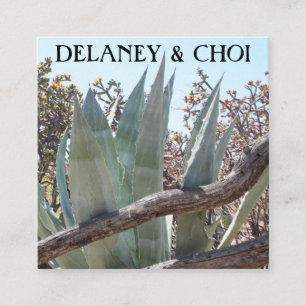 Yucca Aloe Desert Photo Landscaper Garden Cactus Square Business Card