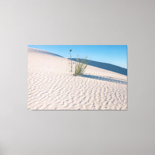 Yucca at White Sands Canvas Print