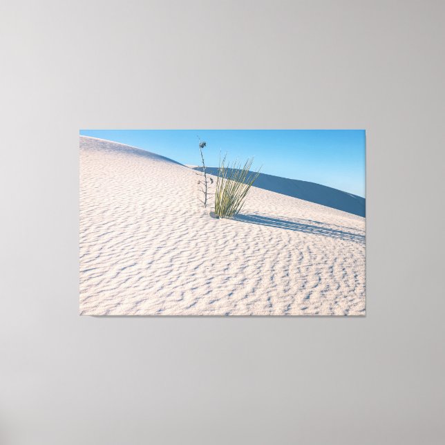 Yucca at White Sands Canvas Print (Front)