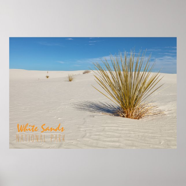 Yucca at White Sands Poster (Front)