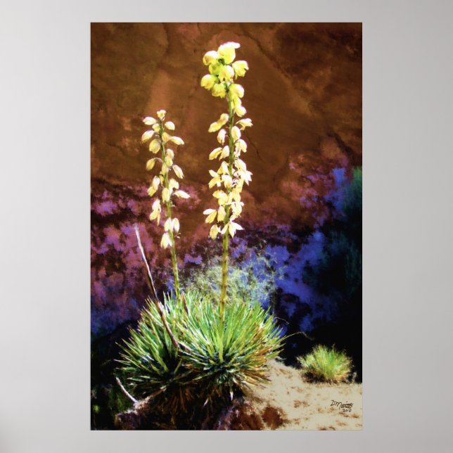 Yucca Flowers in Capitol Reef Poster (Front)