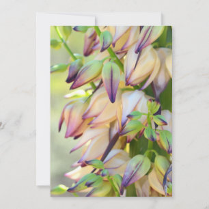 Yucca flowers invitation card