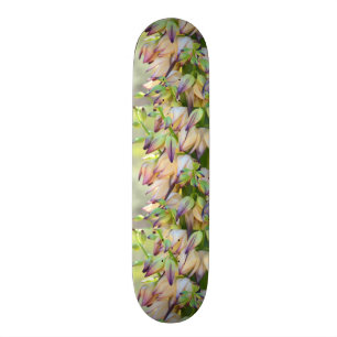 yucca flowers skateboard