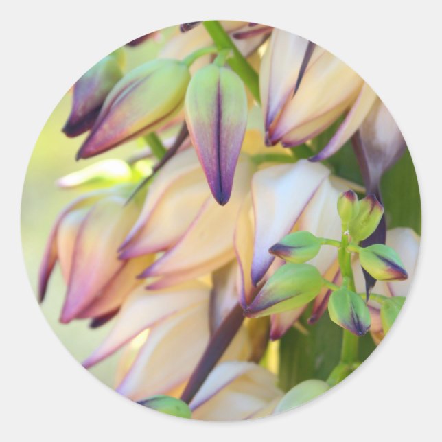 yucca flowers sticker (Front)