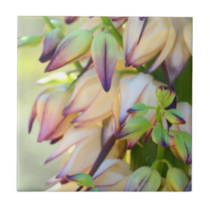 yucca flowers tile