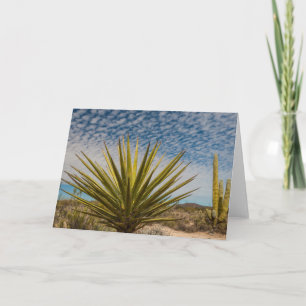 Yucca In The Desert, Mexico Card