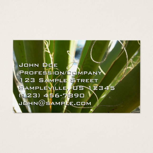 Yucca Leaves Green Nature Photography (Front)