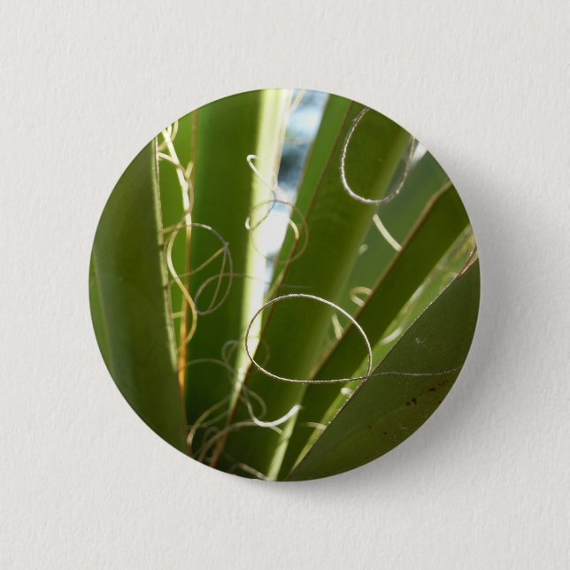 Yucca Leaves Green Nature Photography 6 Cm Round Badge (Front)