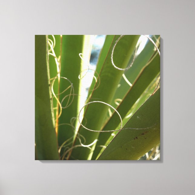 Yucca Leaves Green Nature Photography Canvas Print (Front)