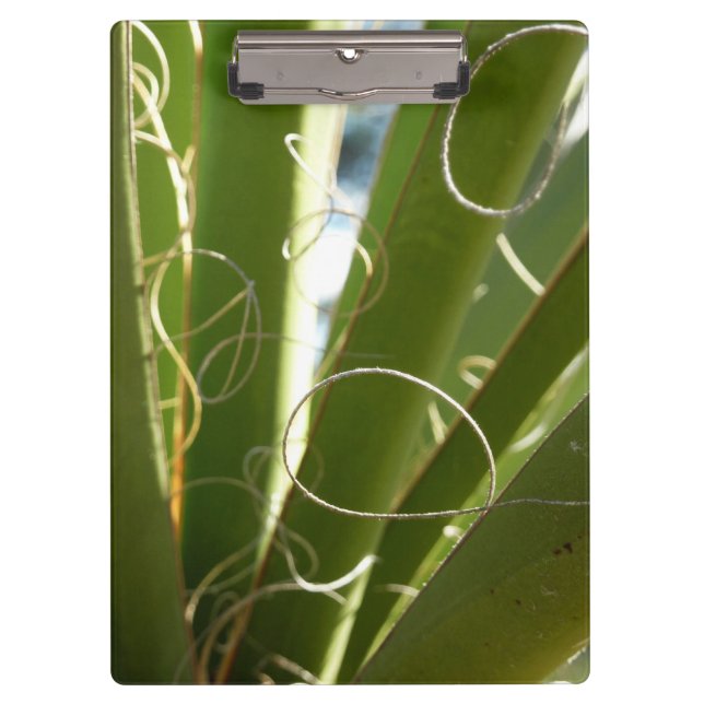 Yucca Leaves Green Nature Photography Clipboard (Front)