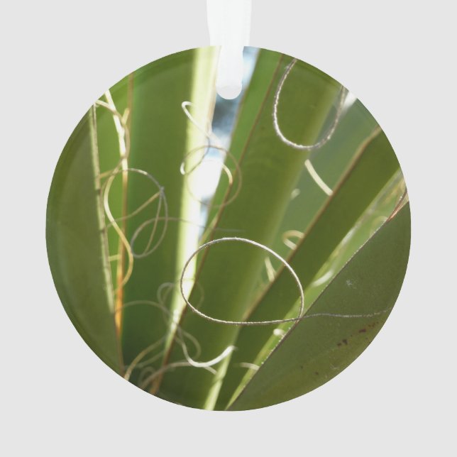 Yucca Leaves Green Nature Photography Ornament (Back)