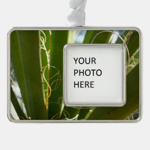 Yucca Leaves Green Nature Photography Silver Plated Framed Ornament