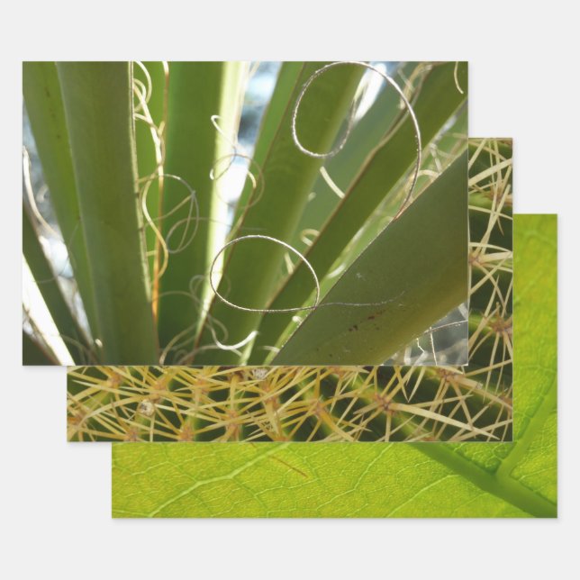 Yucca Leaves Green Nature Photography Wrapping Paper Sheet (Set)