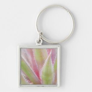 Yucca plant close-up key ring