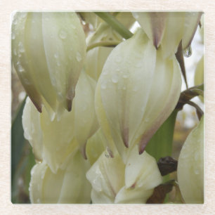 Yucca Plant  Glass Coaster