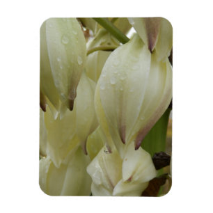 Yucca Plant Magnet
