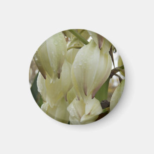 Yucca Plant Magnet
