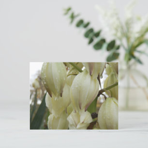 Yucca Plant Postcard