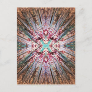 Yucca Warm Glow Postcard