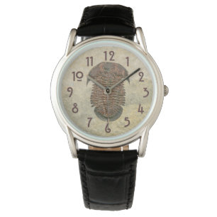 Yuepingia Fossil Trilobite Watch