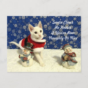 Yuki's Christmas - Cat / Kitten Christmas Postcard