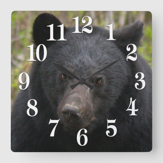 Yukon Black Bear & Wilderness Photo Art Square Wall Clock (Front)