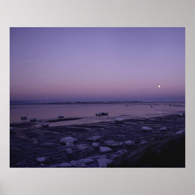 Yukon Delta National Wildlife Refuge Poster (Front)