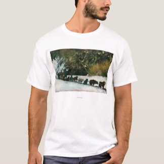 Yukon Dog Team Freighting Through Alaska Canyon T-Shirt