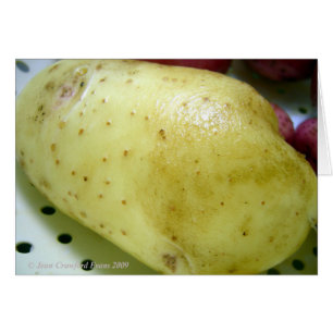 Yukon Gold potato