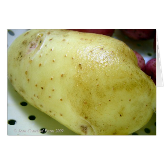 Yukon Gold potato (Front Horizontal)